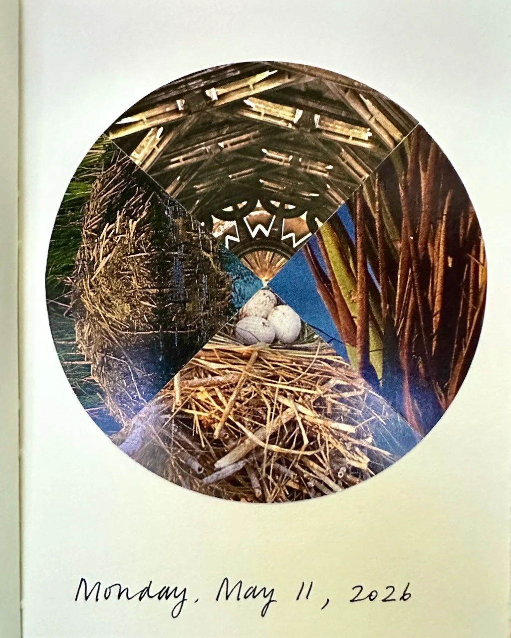 Daily Collage BIG - 22 of 80.jpeg