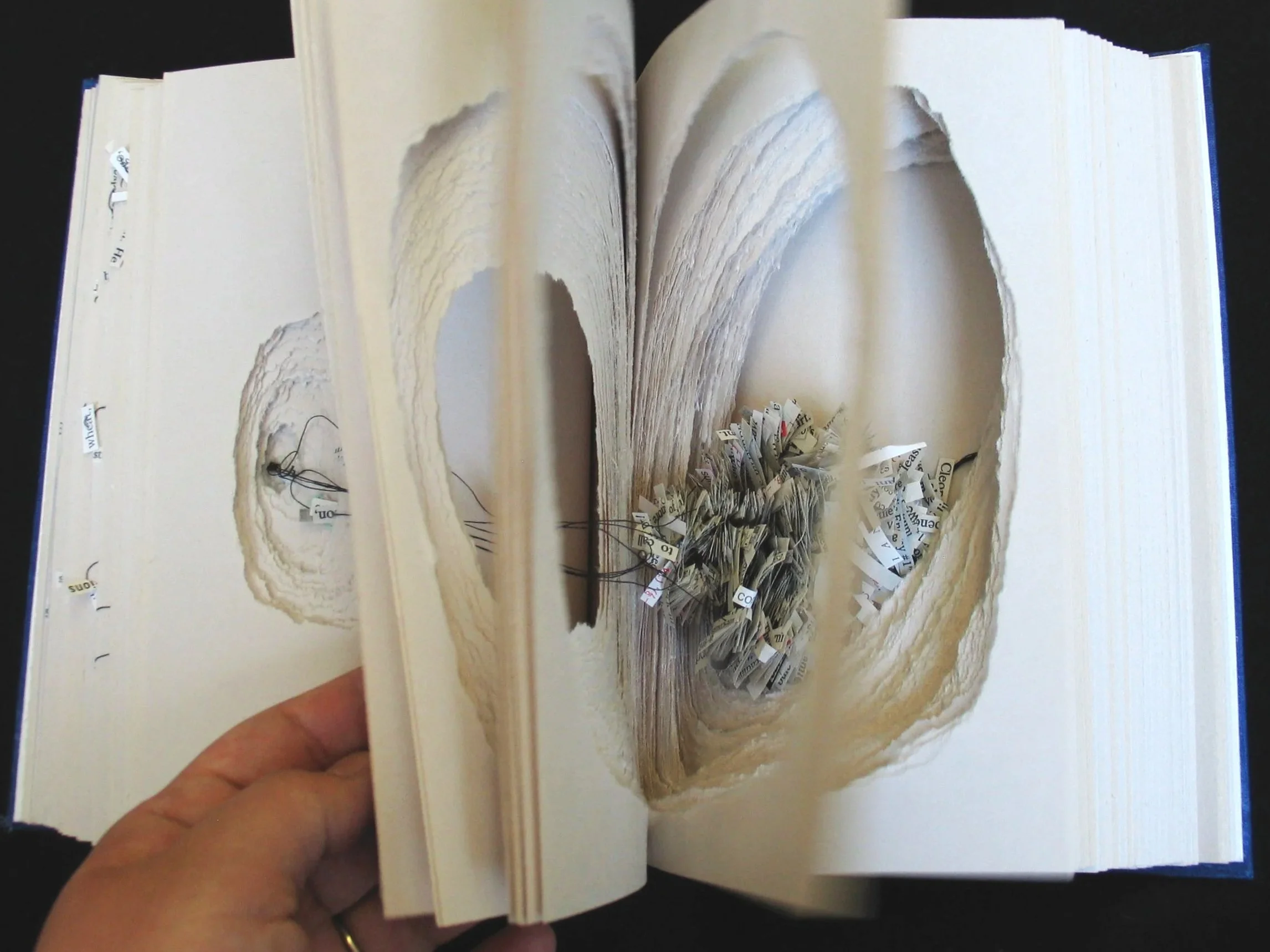 The Brothers Karamazov (Altered Book)