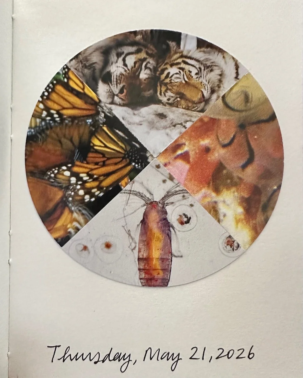 Daily Collage BIG - 30 of 80.jpeg