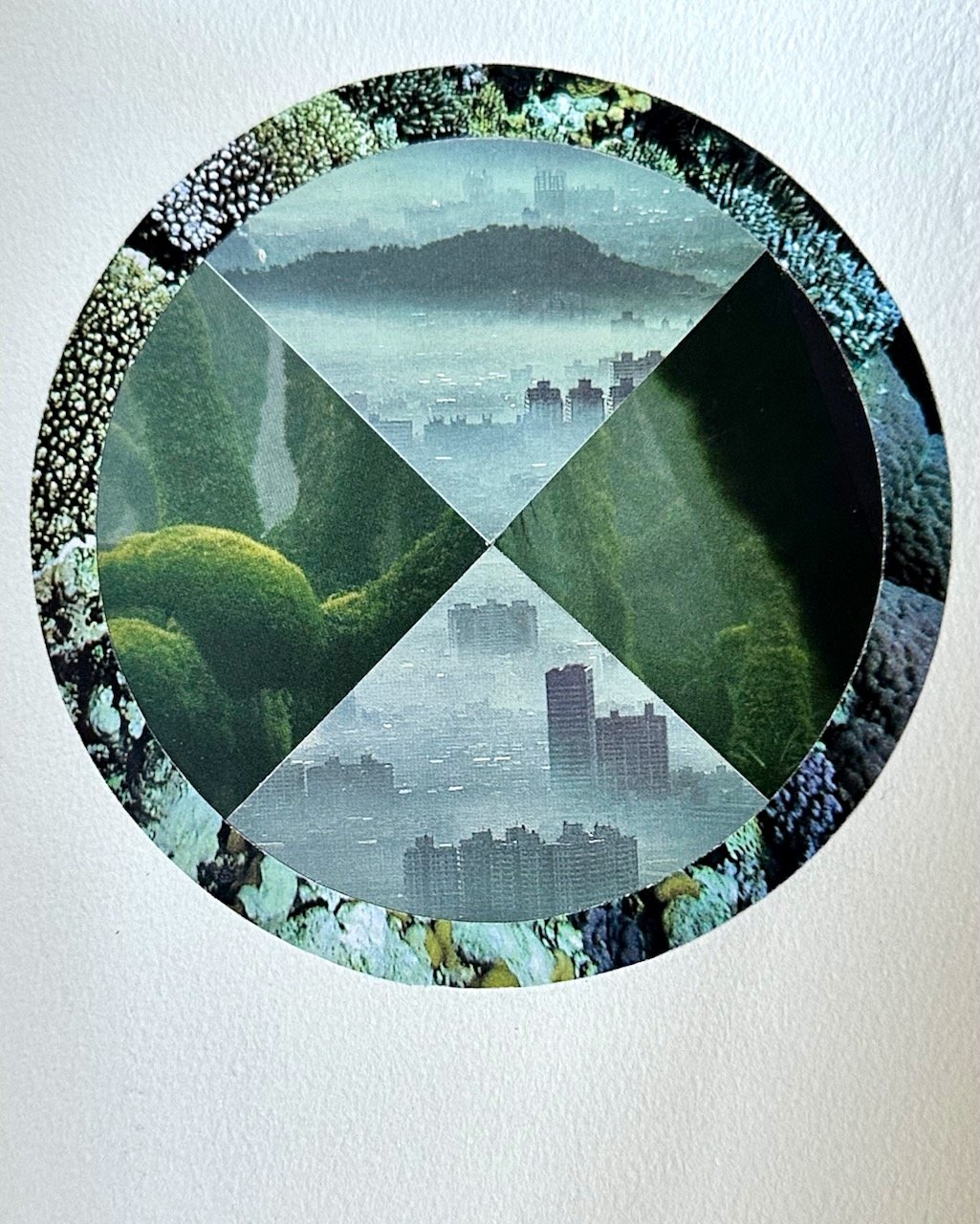 Daily Collage BIG - 51 of 80.jpeg
