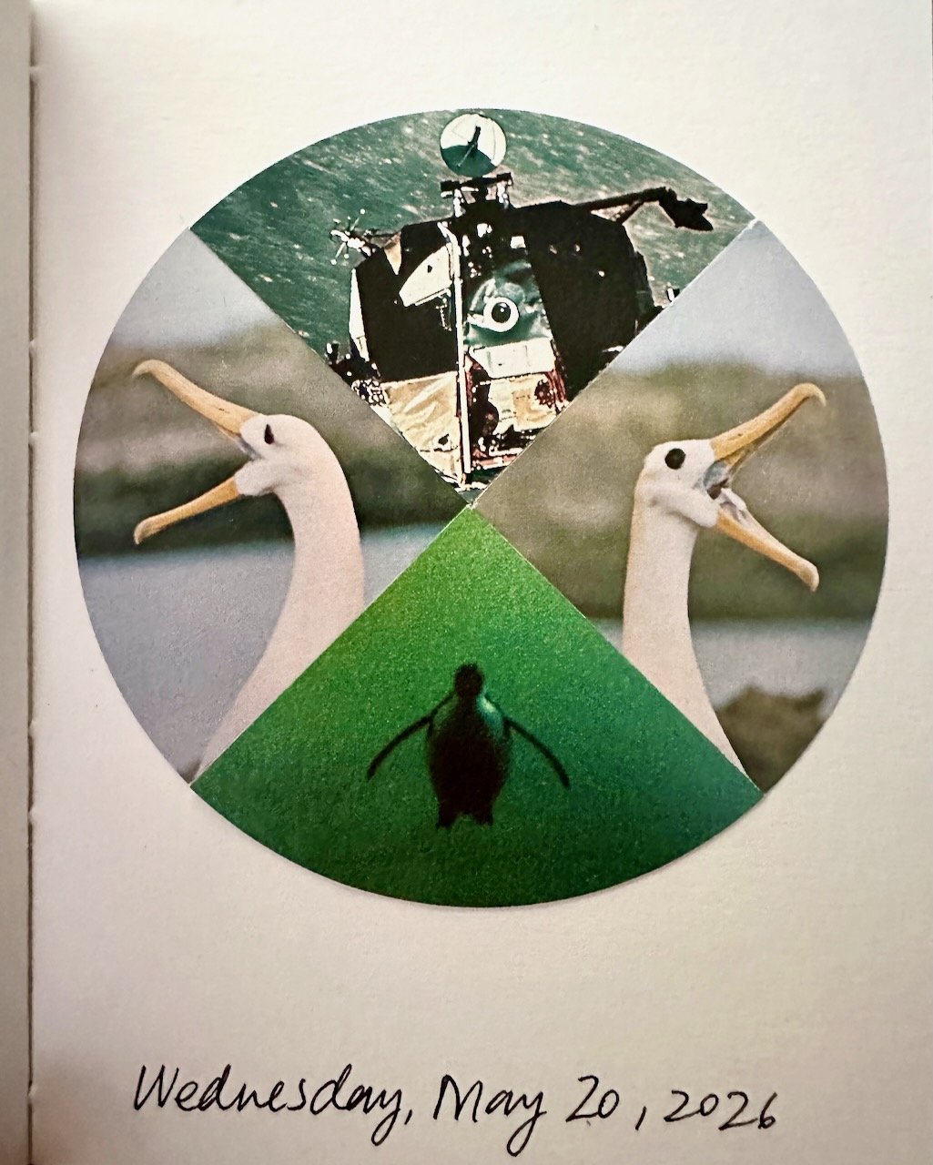 Daily Collage BIG - 29 of 80.jpeg
