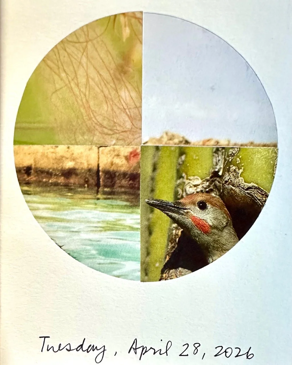 Daily Collage BIG - 9 of 80.jpeg