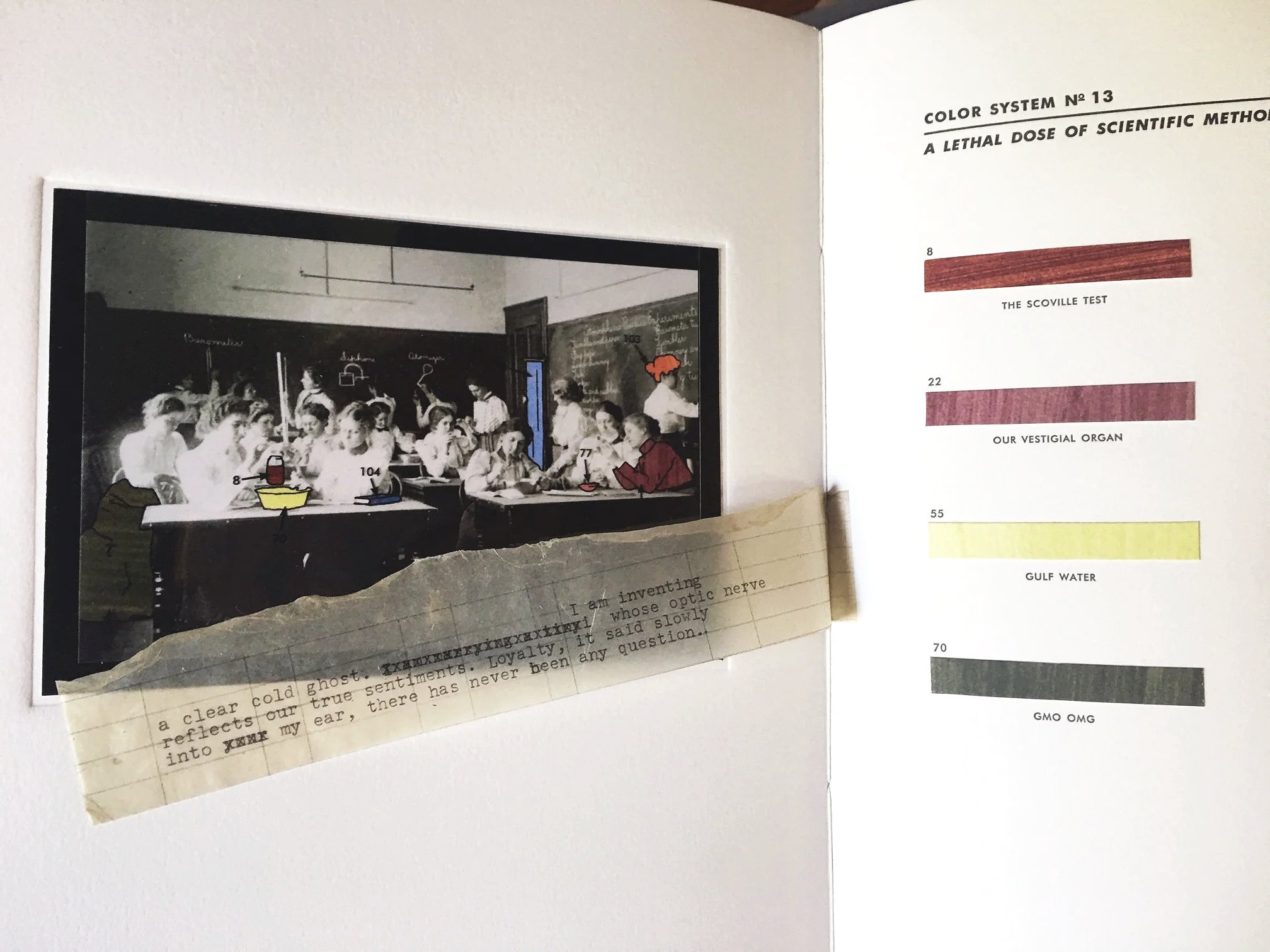 The Color System: Schemes for Life Enhancement