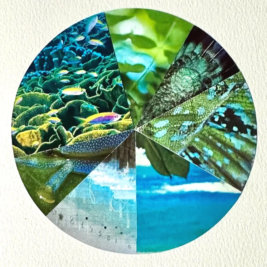 Daily Collages, Book 1