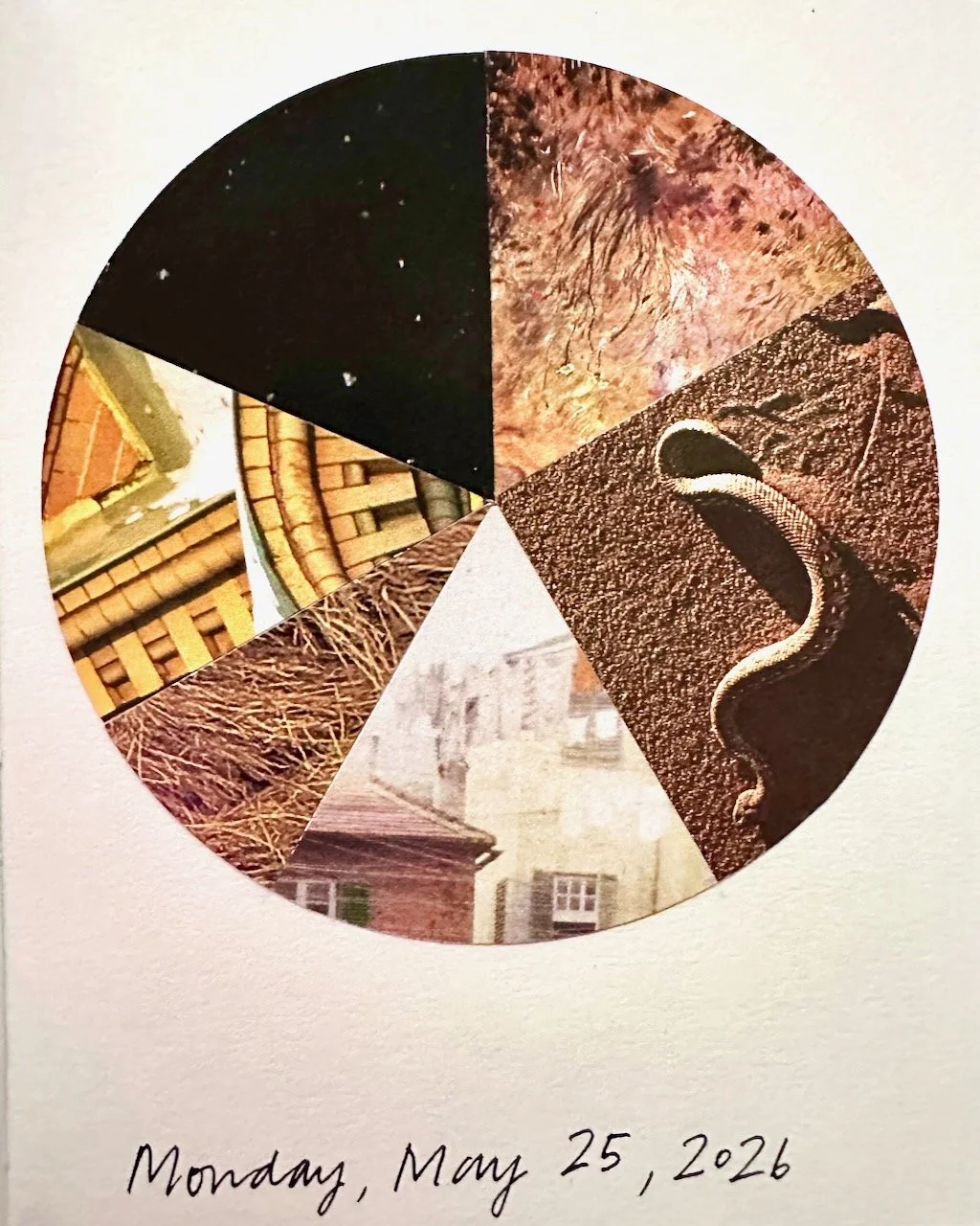 Daily Collage BIG - 33 of 80.jpeg