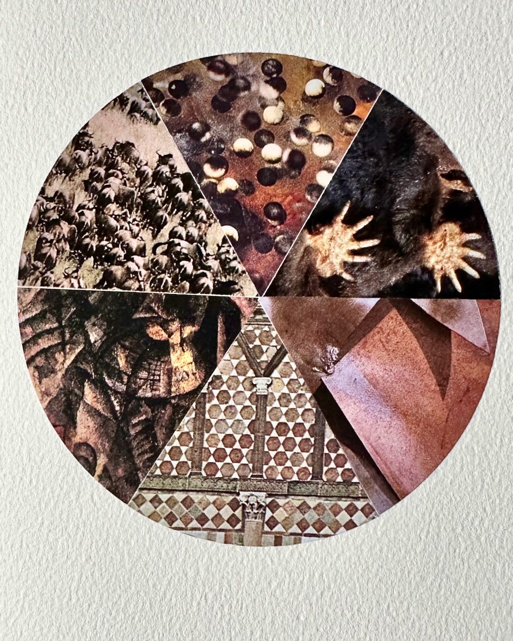 Daily Collage BIG - 75 of 80.jpeg