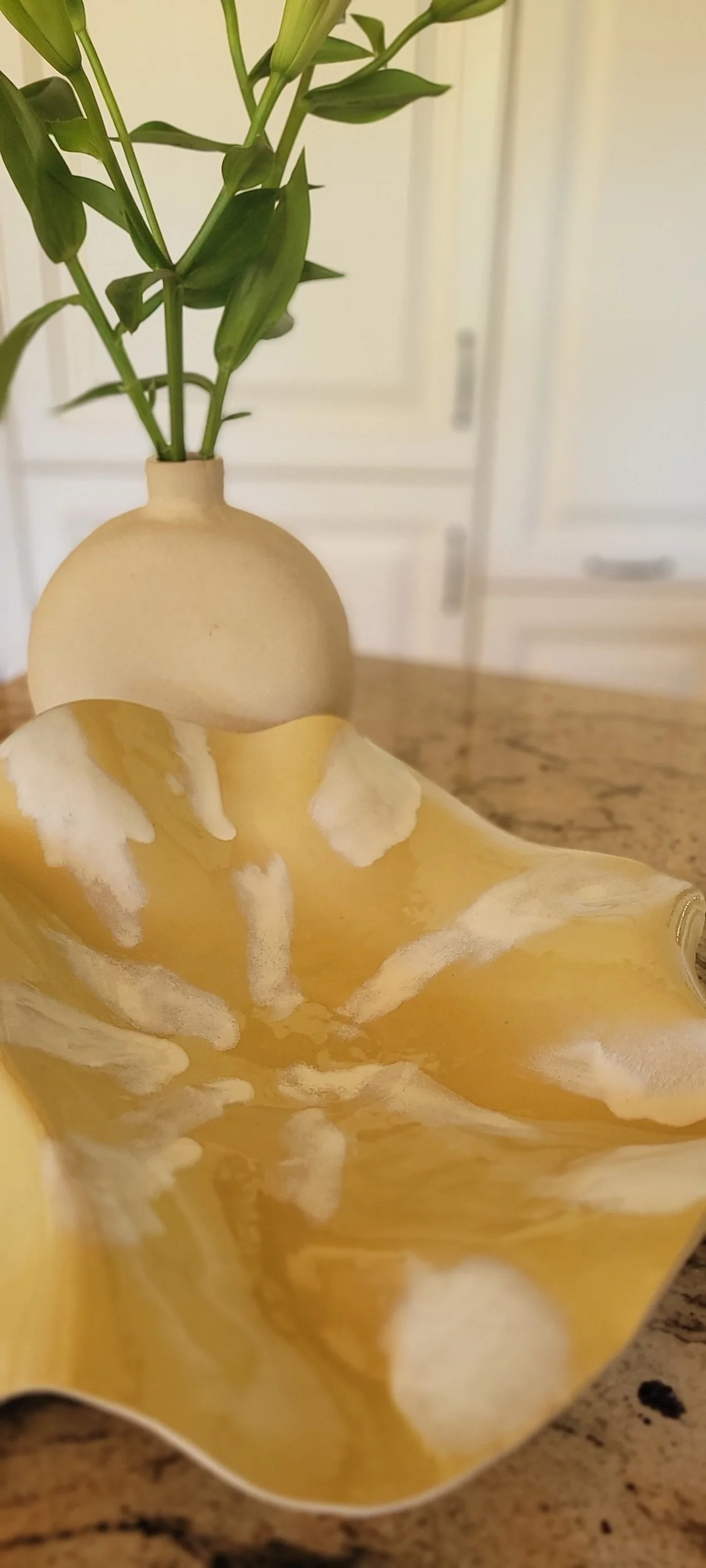 Babaybauchschale gelb und weiß