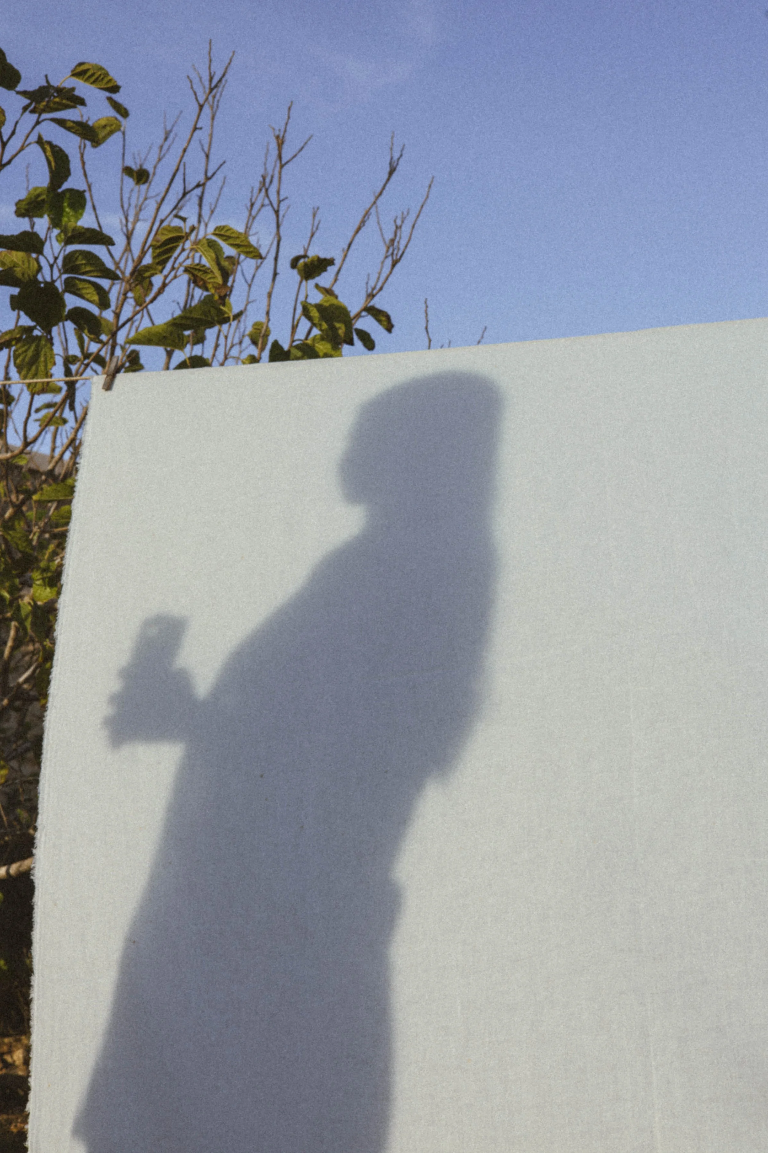 Sombra de una persona en una pared blanca, con ramas de un árbol y cielo azul en el fondo.