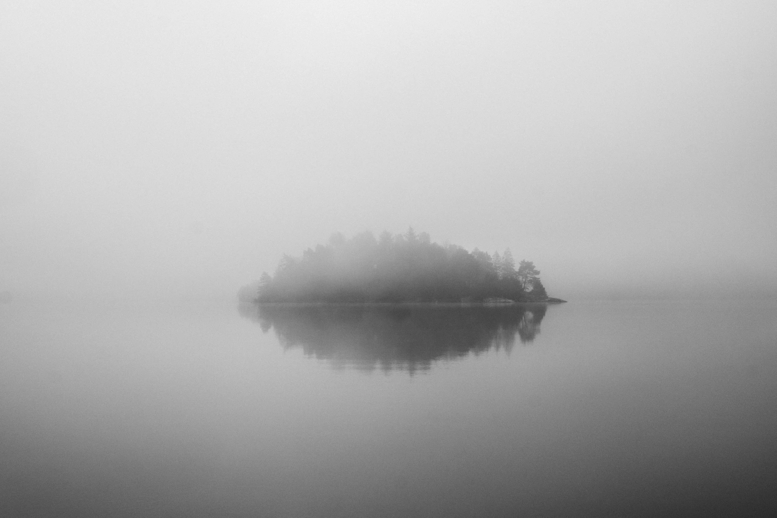 Paisaje en blanco y negro con una isla con árboles rodeada por un cuerpo de agua y niebla.
