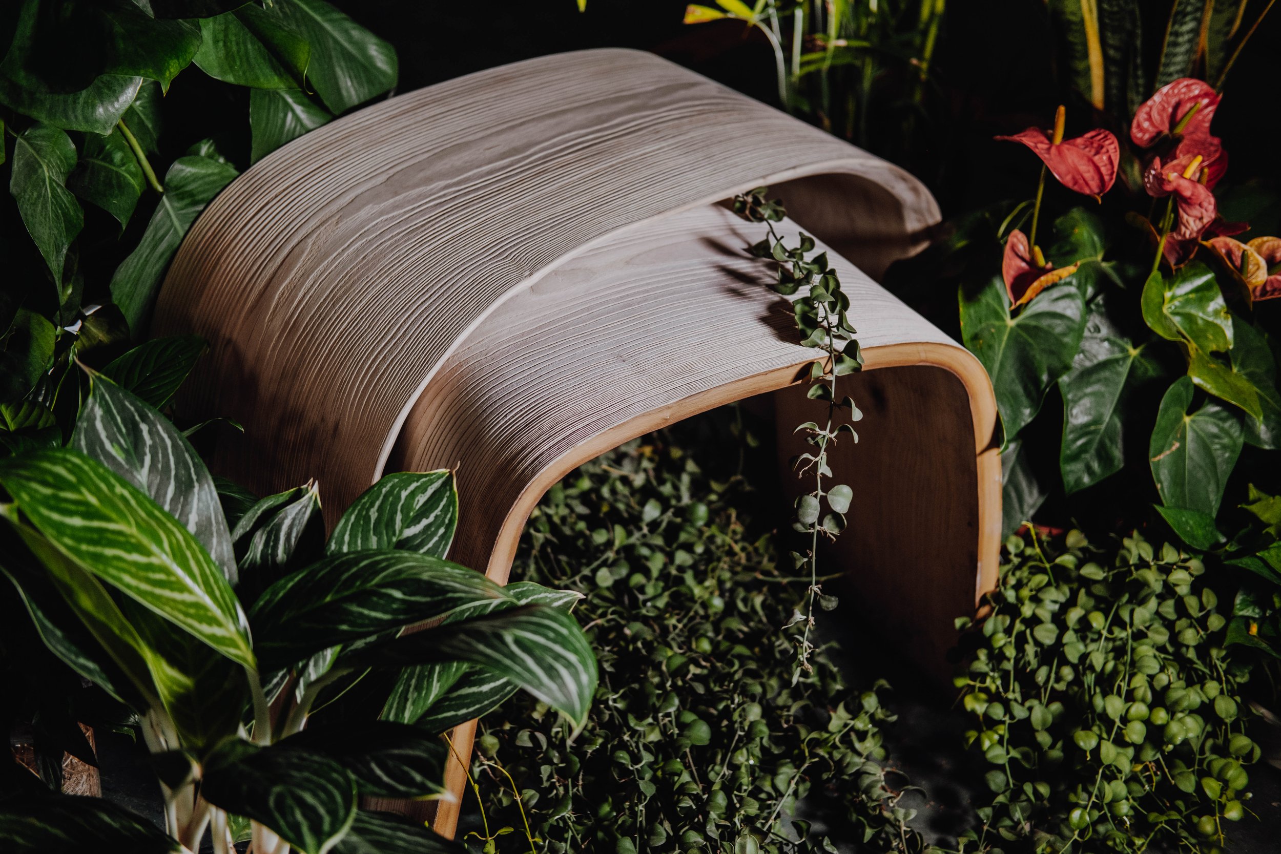 Maceta de madera en medio de hojas verdes y plantas, con flores rojas en el fondo.