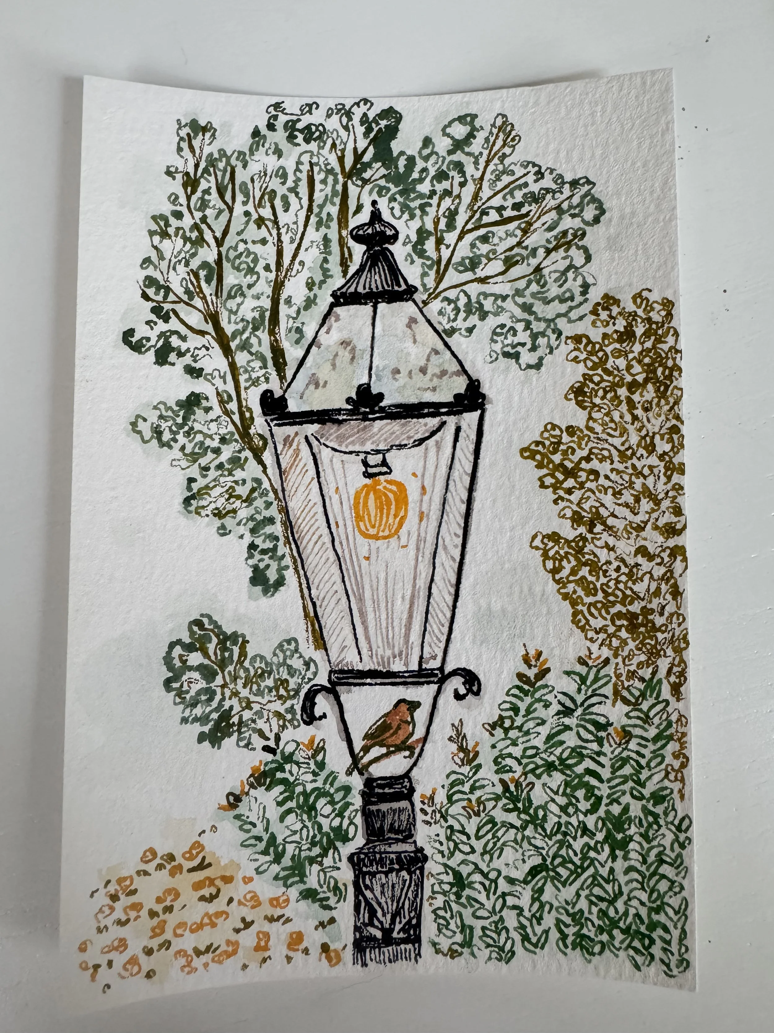 IMG_4905.jpeg