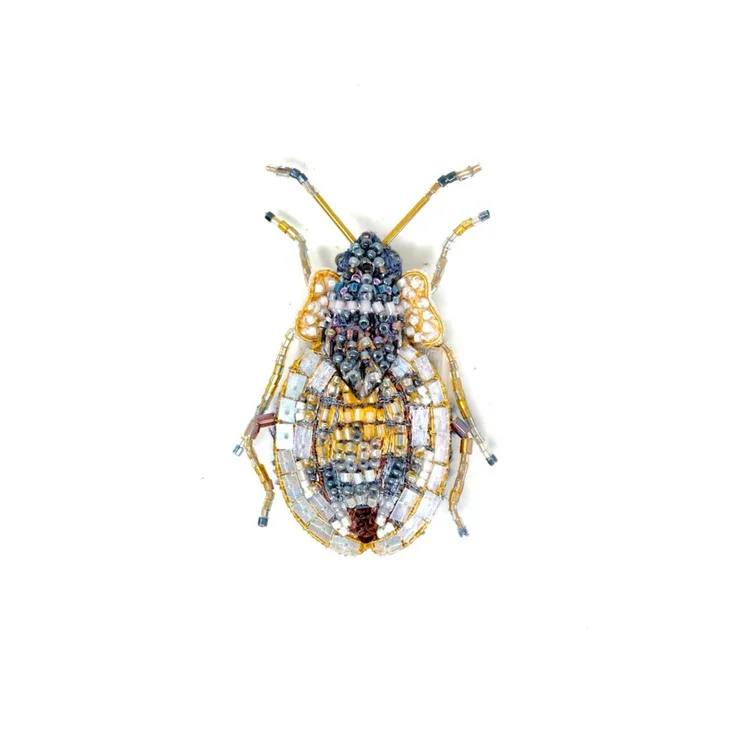 Tingidae