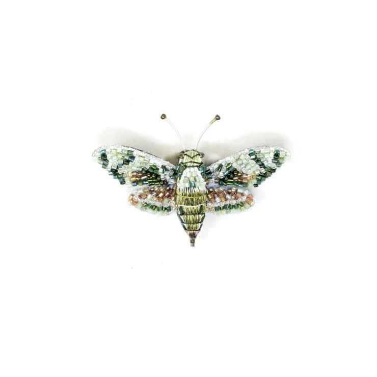 Sphingidae