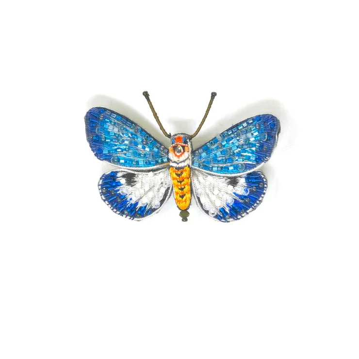 Papillon Neochera