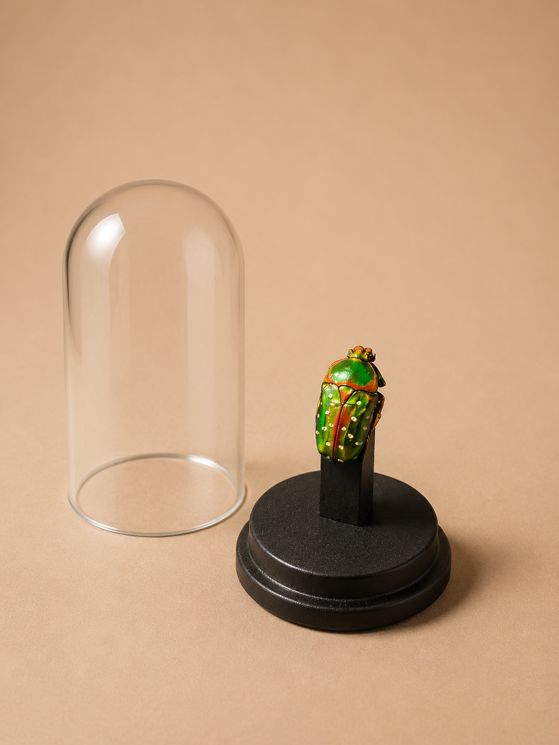 Mini 5