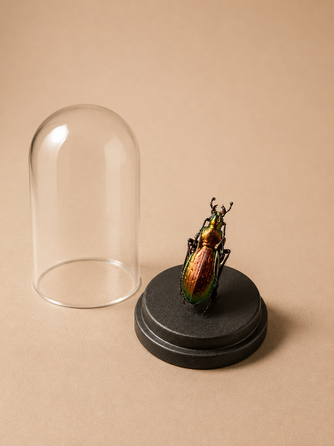 Mini 2