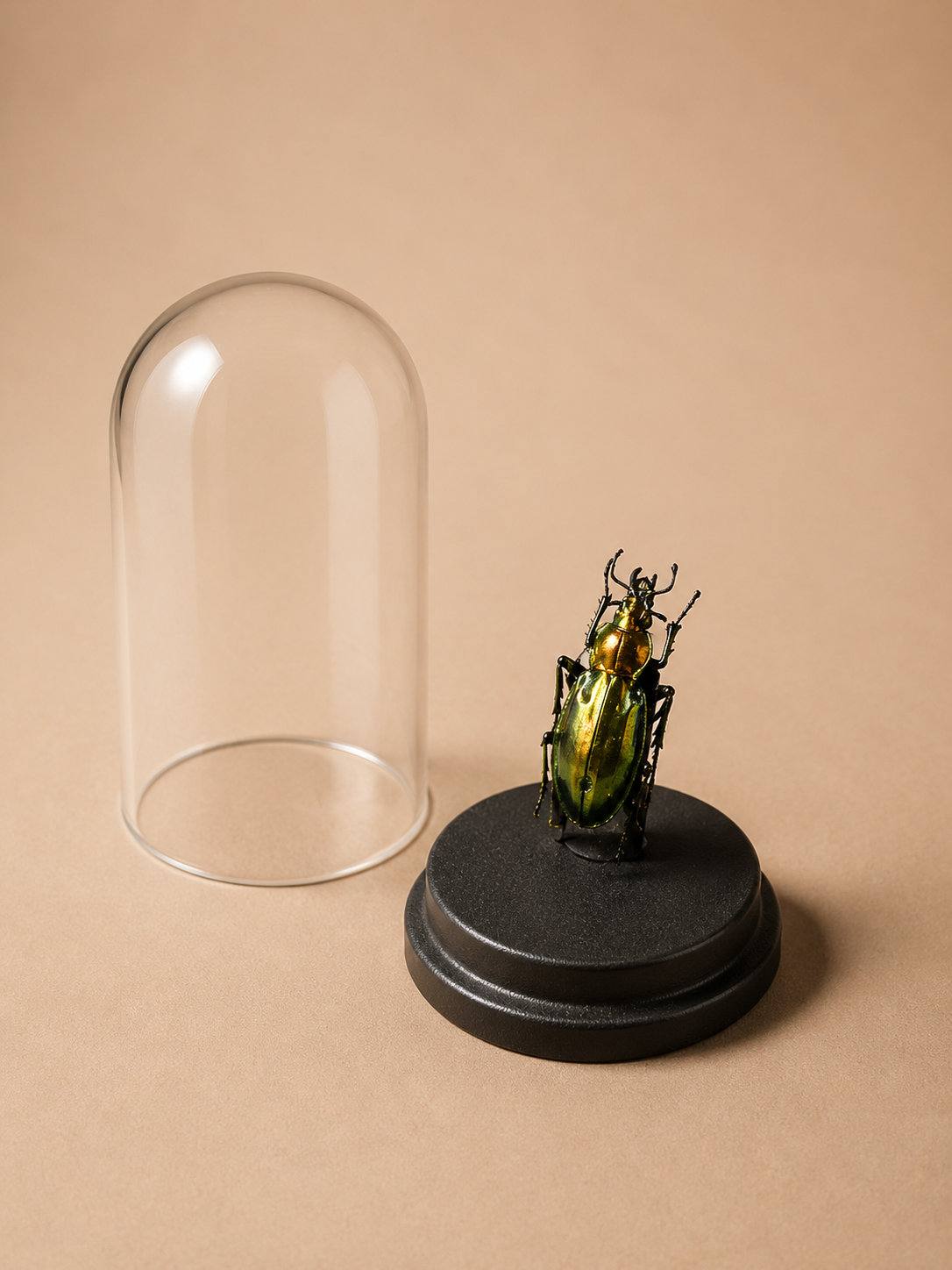 Mini 3