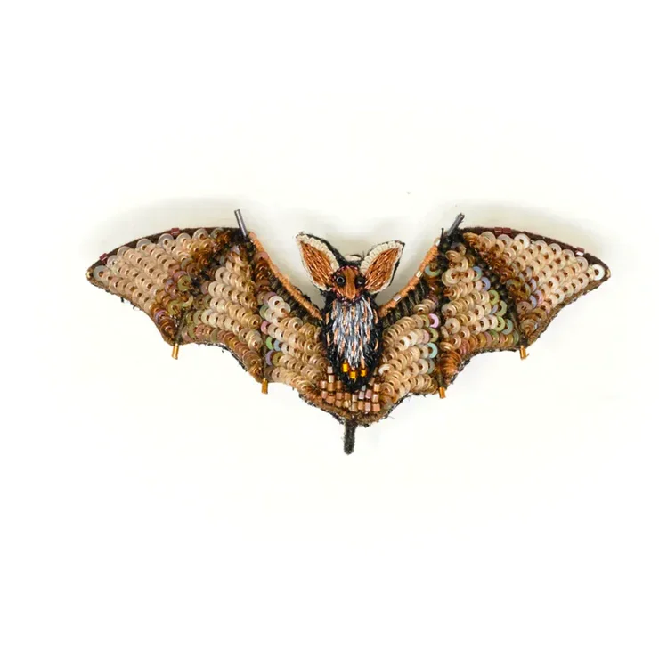 Chauve souris