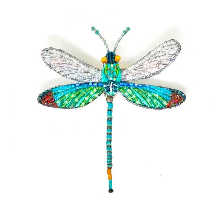 Libellule orientale