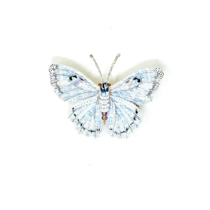 Morpho blanc
