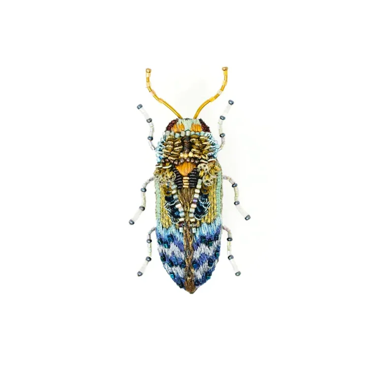 Scarabée Florentinus