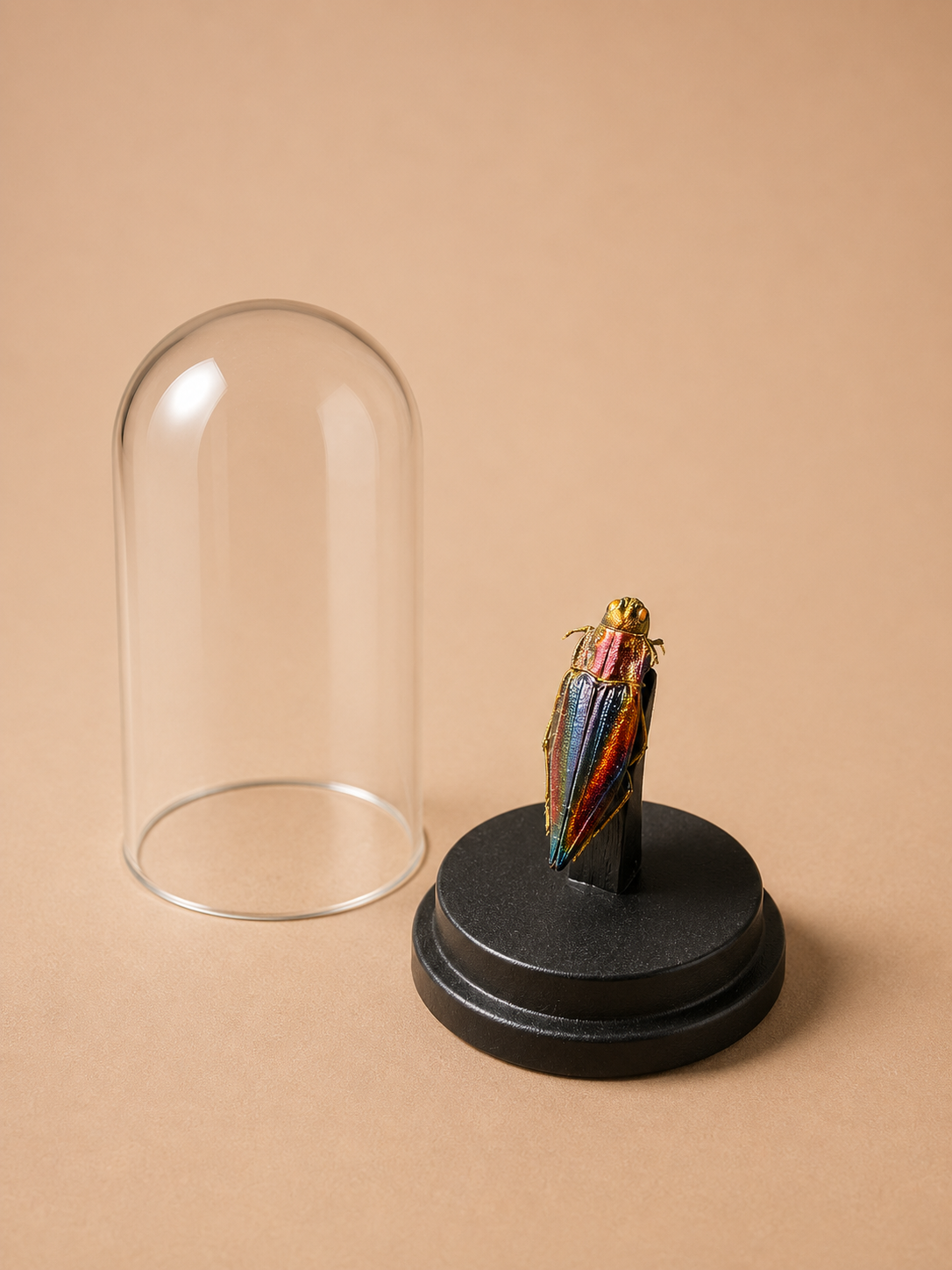 Mini 4