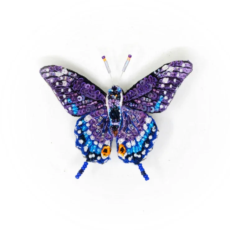 Papillon du céleri