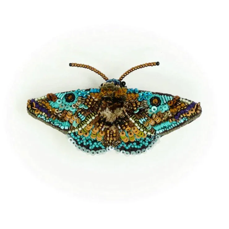 Papillon Lanipes