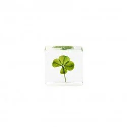 Cube S
