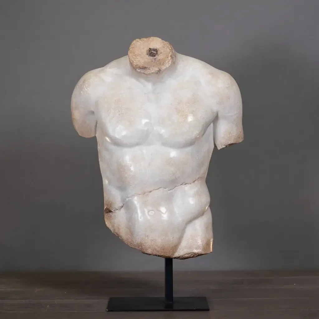 [OD786-XS] Torse de Discophore (XS).webp