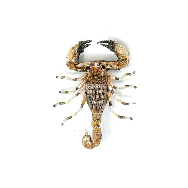Scorpion du désert
