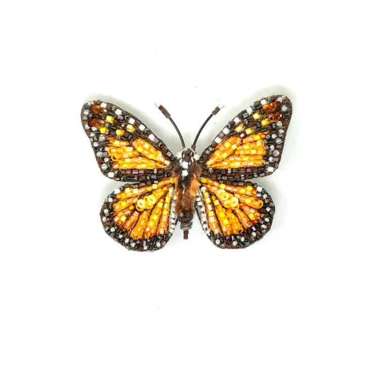 Papillon Monarch
