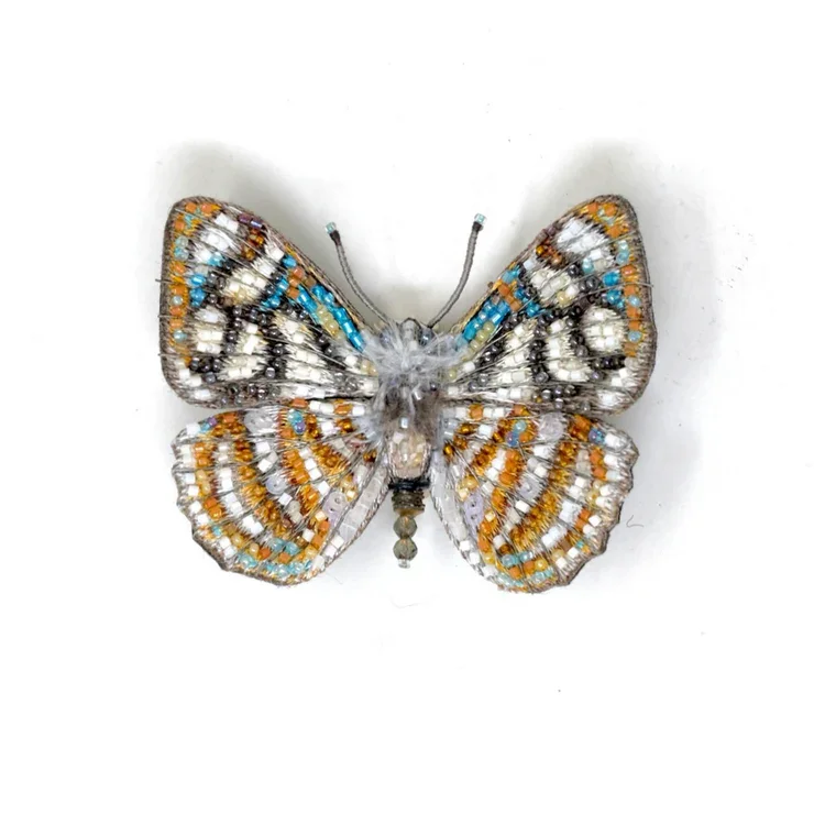Marin racidula
