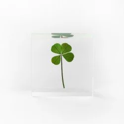 Cube M