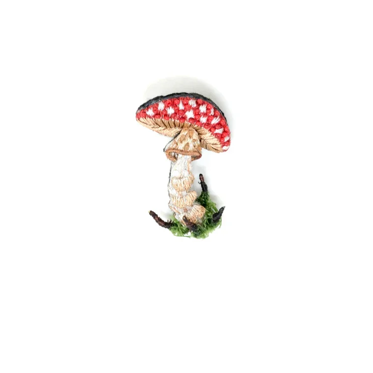 Champignon mouche