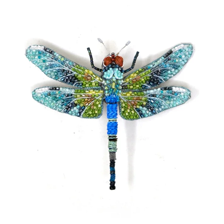 Libellule empereur bleu