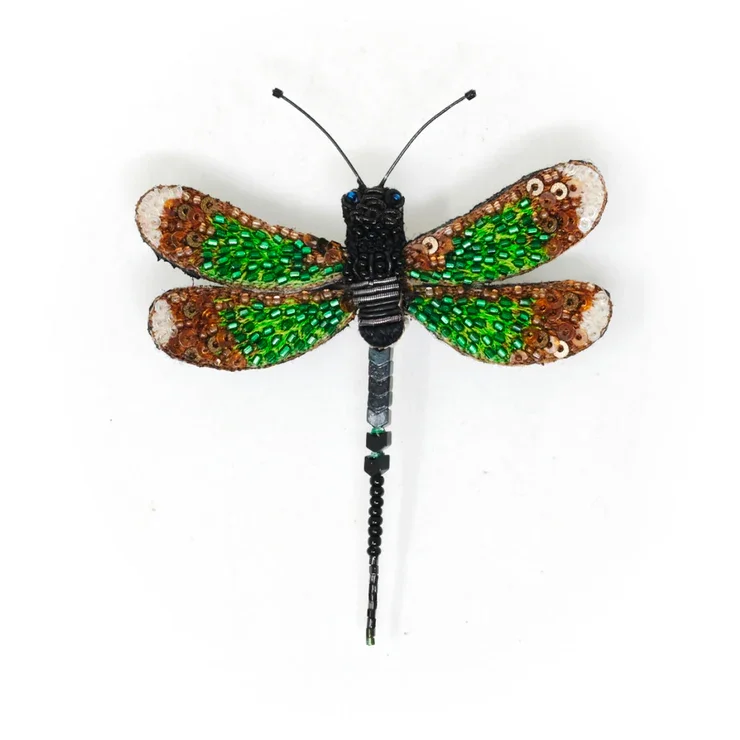 Libellule demoiselle