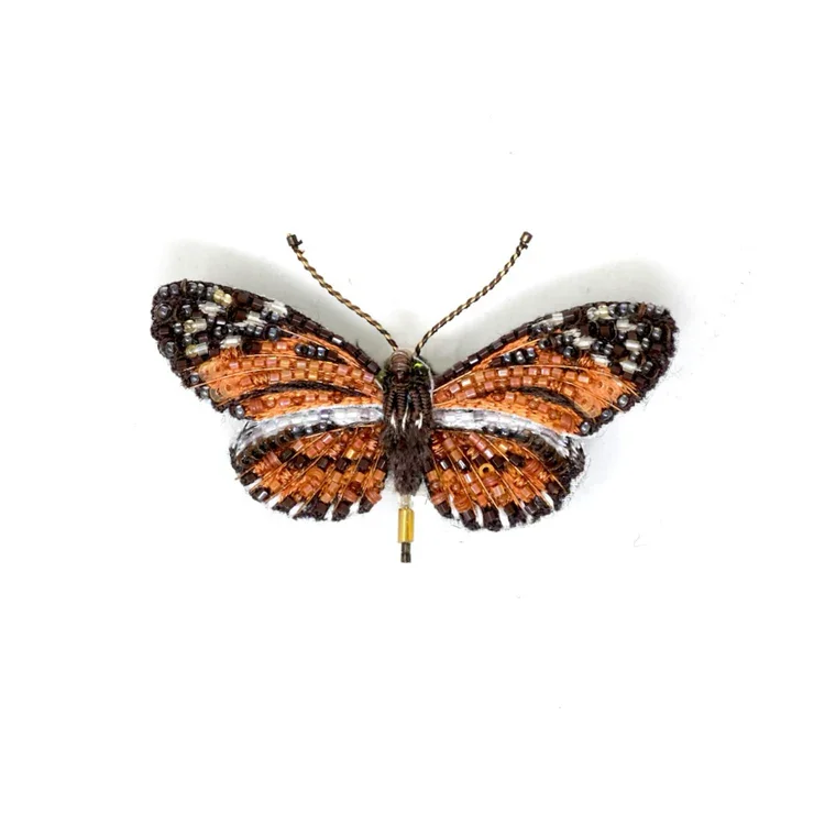 papillon Isabella