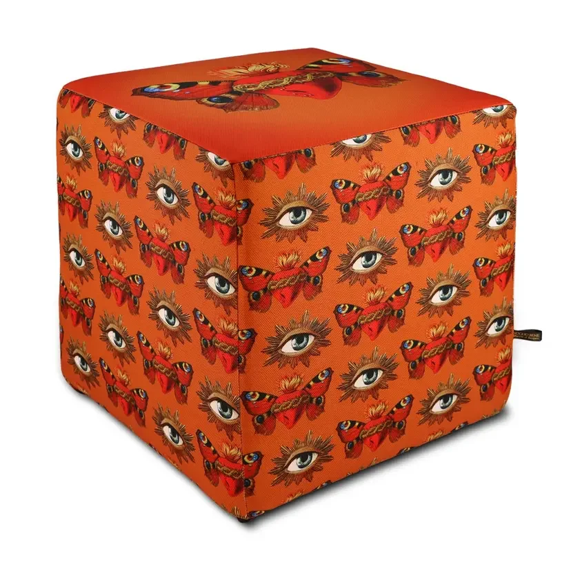 Papillon Orange