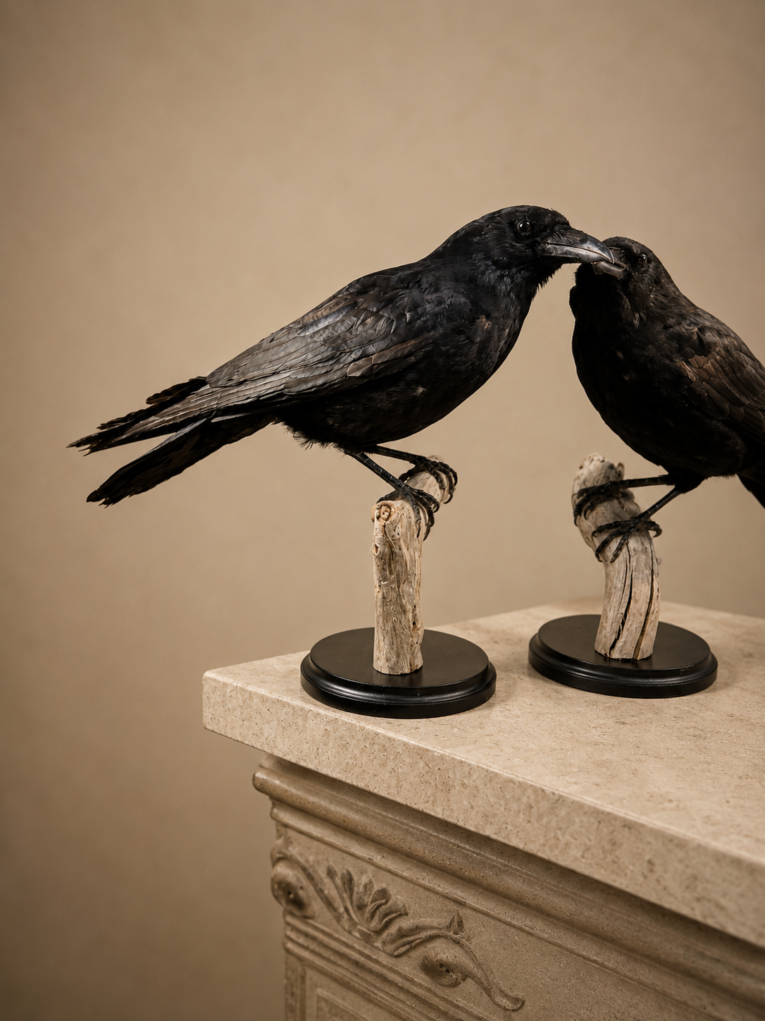 Corbeau