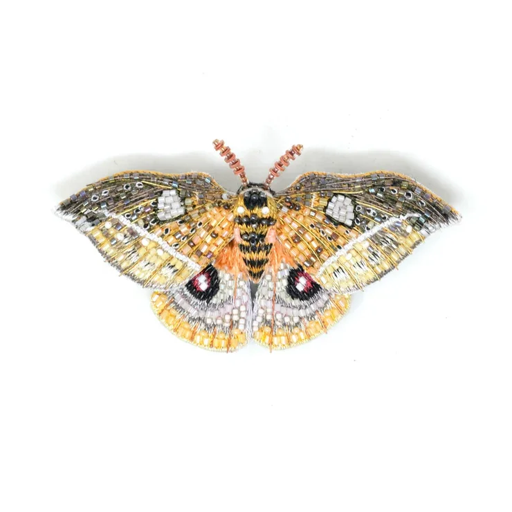 Papillon automaria empereur