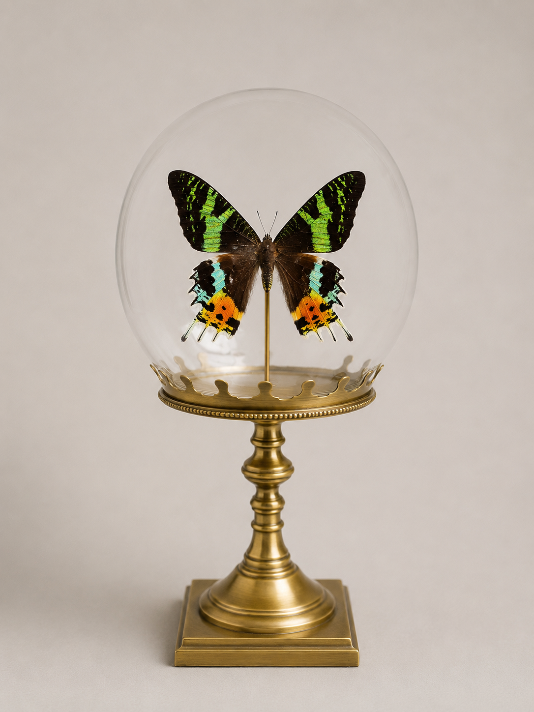 Bulle Urania