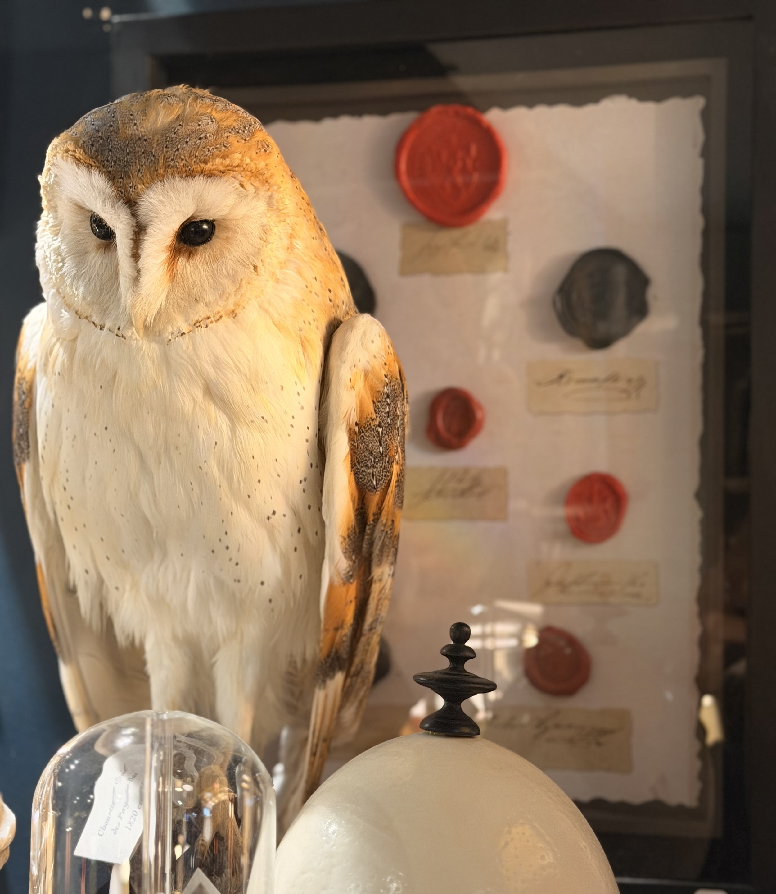 Une sculpture en forme de chouette avec des détails réalistes, exposée dans une vitrine accompagnée de divers objets de décoration obscurs, dont un symbole de tour d'échec en pierre.