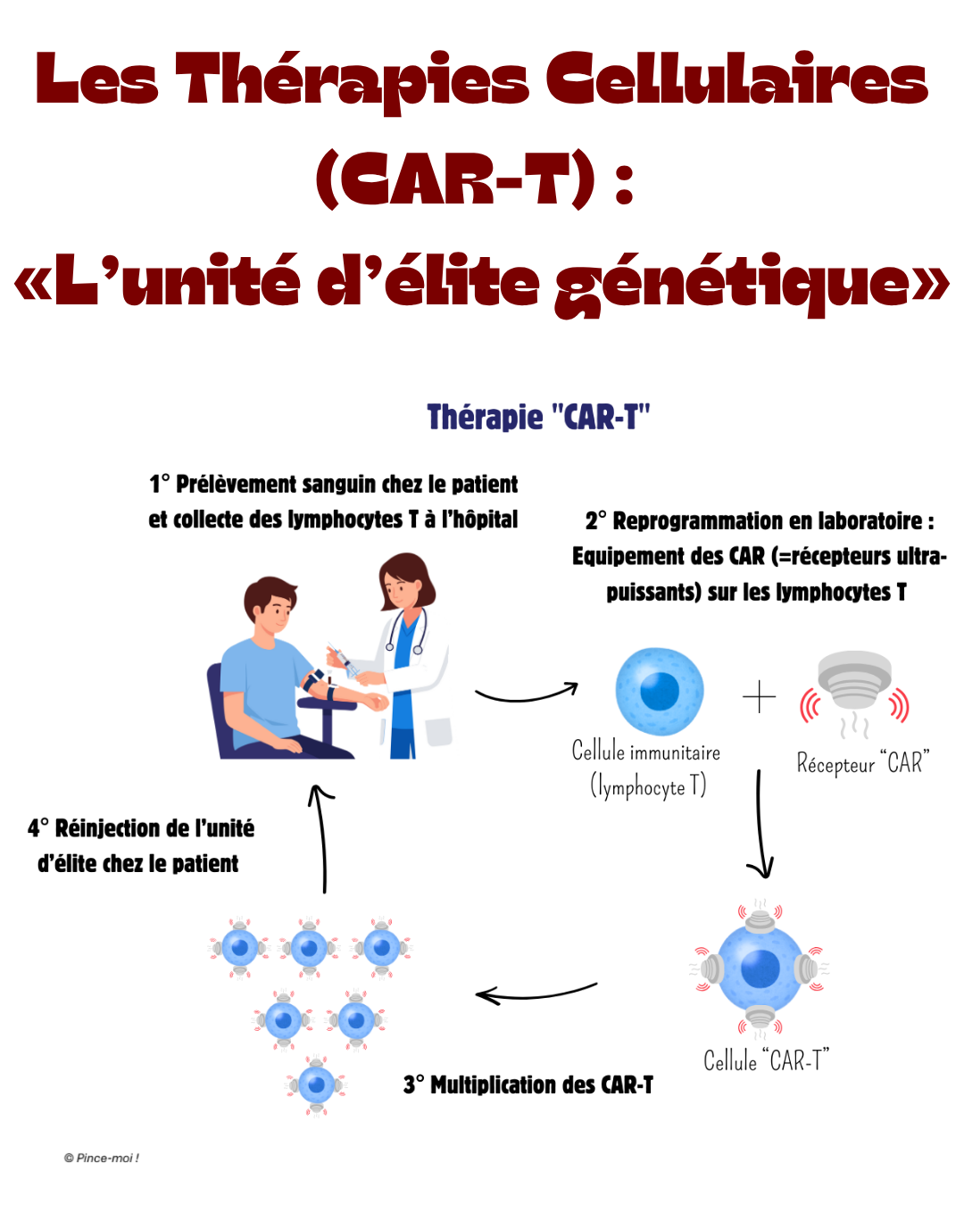 An informational poster describing CAR-T cell therapy in French, including steps involving blood sampling, laboratory reprogramming with receptors, multiplication, and reinjection into the patient, with illustrations of a patient and healthcare professional, immune cells, and receptor icons.