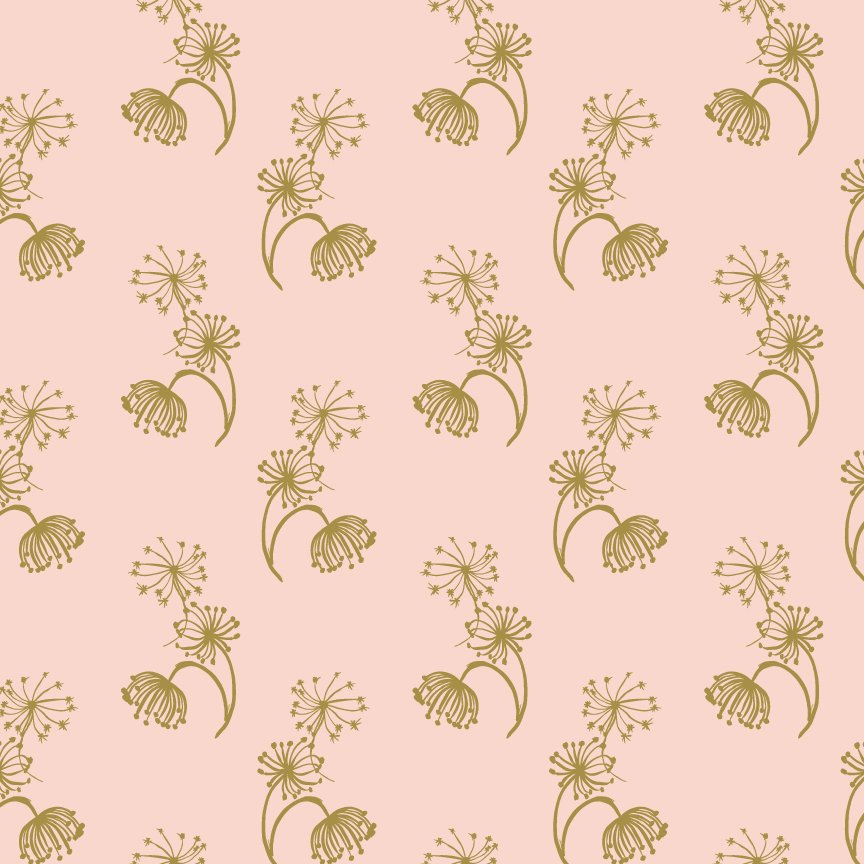 queen-anne's-lace-on-blush.jpg
