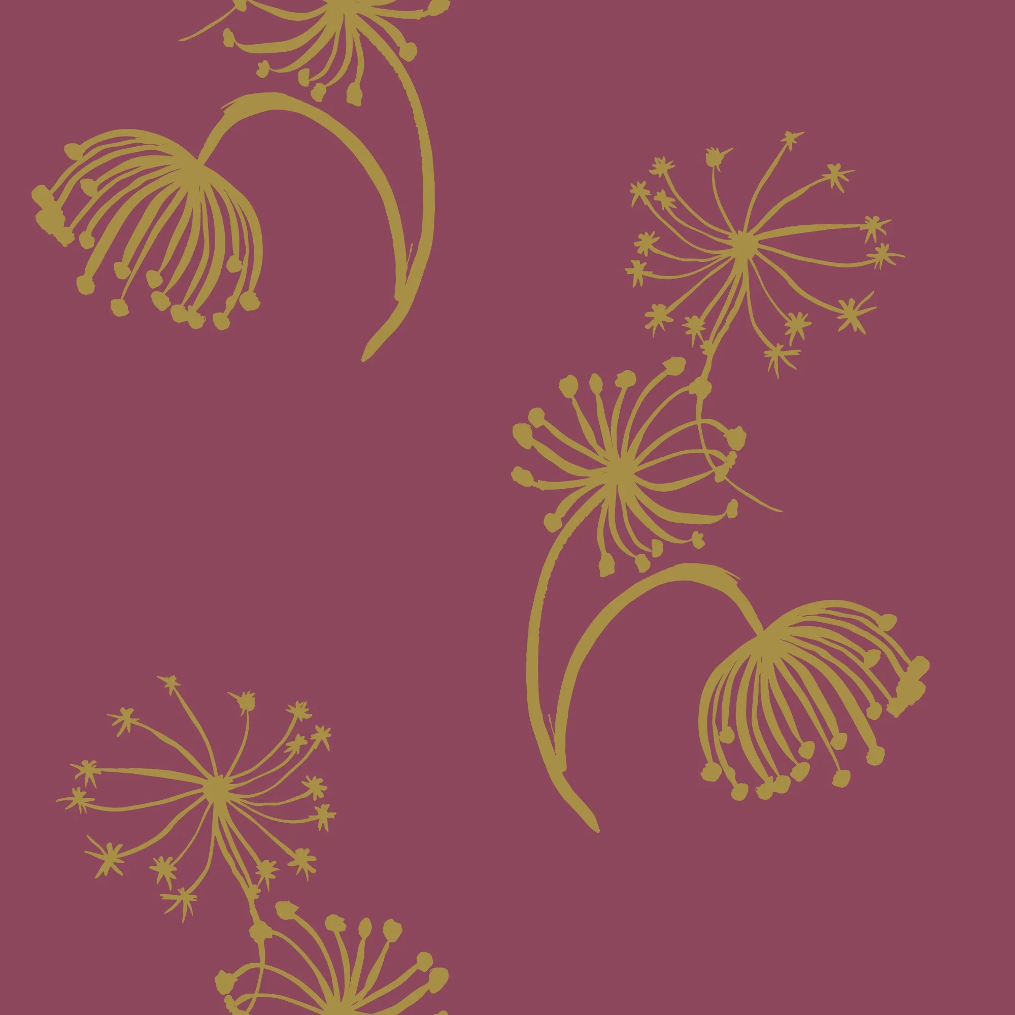 Golden Queen Anne's Lace on Raspberry