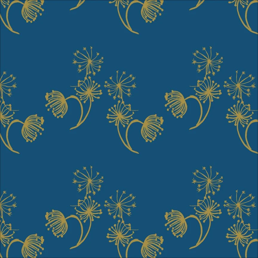 queen-annes-lace-on-blue.jpg
