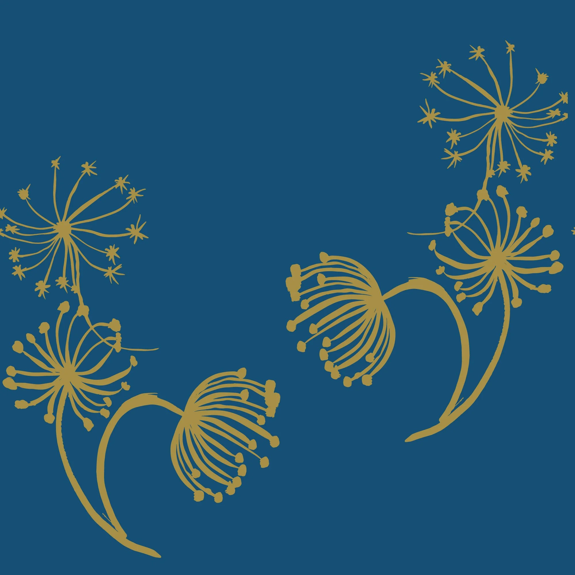 Queen Annes Lace on Royal Blue