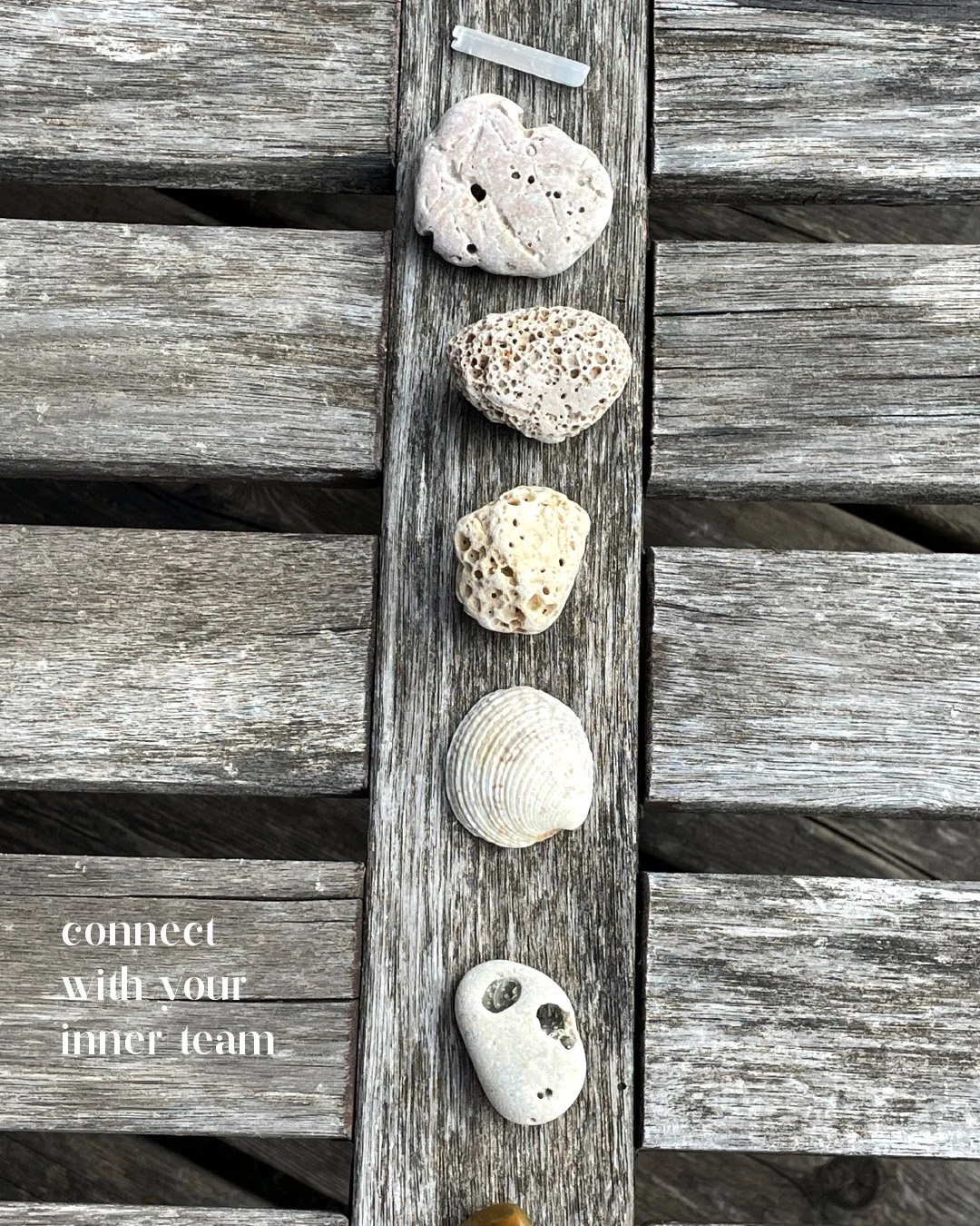 td treedesign STUDIO connect with your inner team