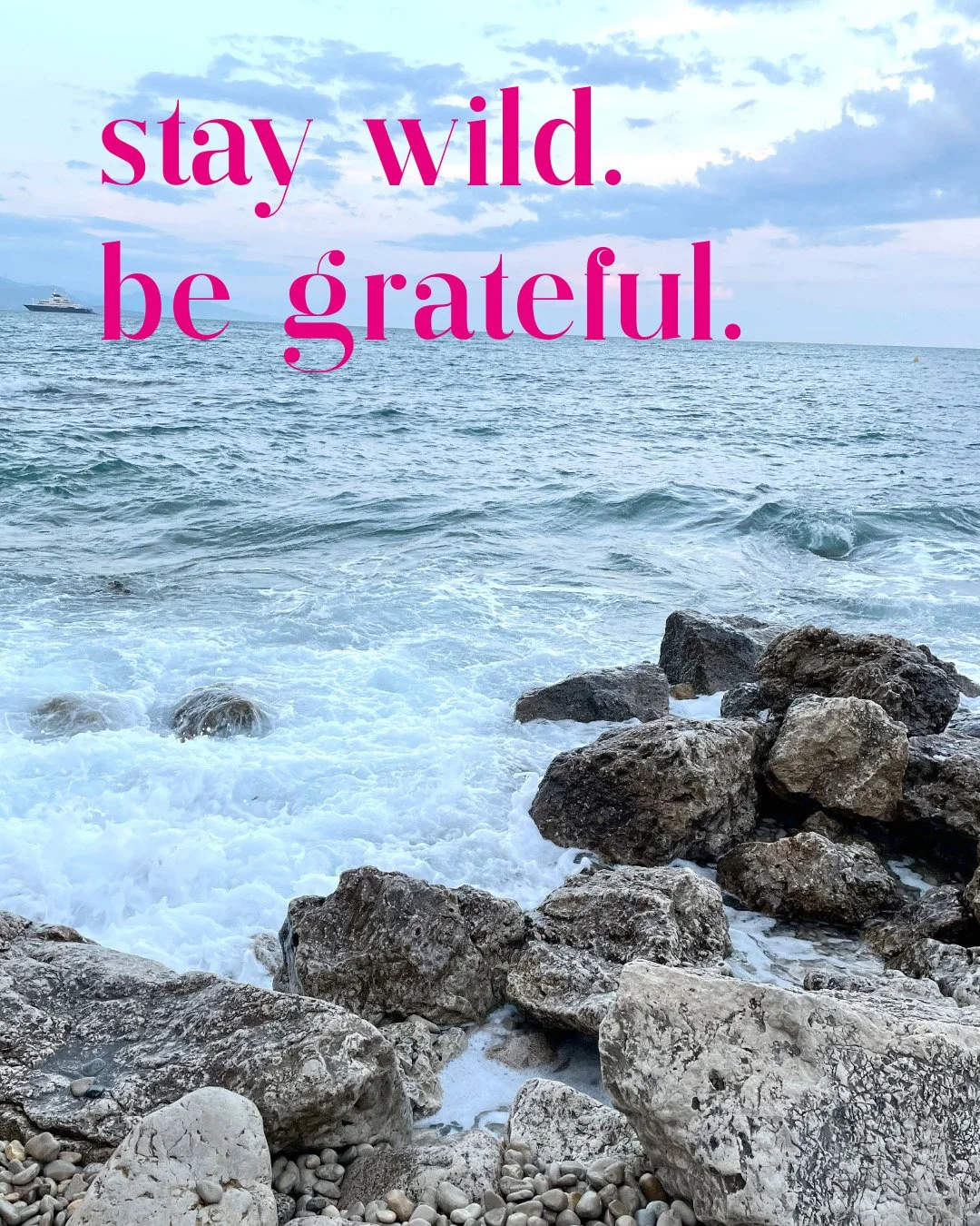 stay wild. be grateful td treedesign STUDIO